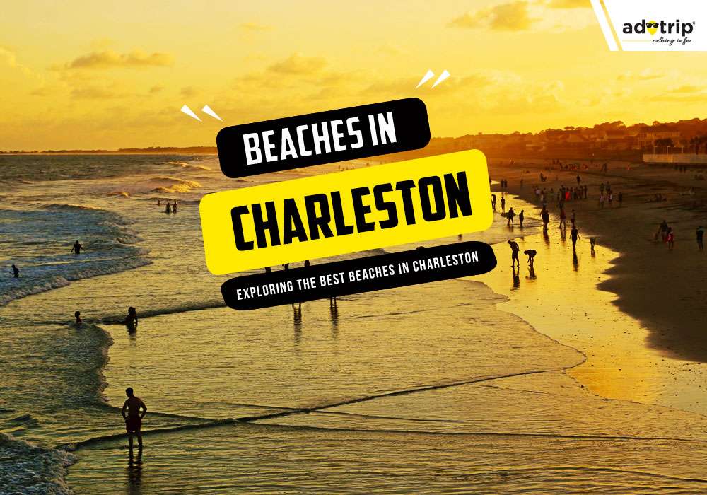 Beaches in Charleston